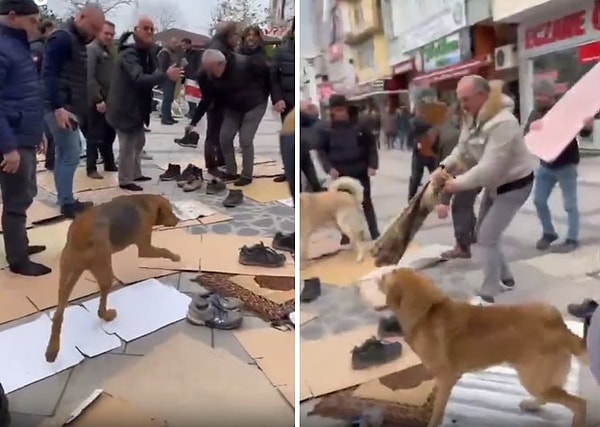 Panikleyen vatandaşlar köpekleri uzaklaştırmaya çalıştı. Köpeklerin kavgası namaz kılmaya gelen bir vatandaş tarafından cep telefonu ile kaydedildi.