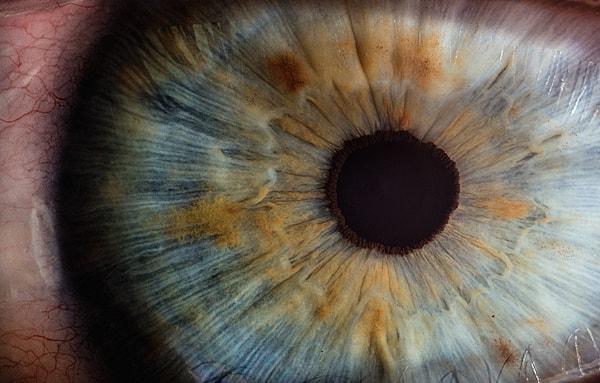 13. "Bağışıklık sisteminiz gözlerinizin var olduğunu bilmiyor. Eğer gözlerinizin farkına varırsa onları yok etmeye çalışırdı. Tıpta buna 'bağışıklık ayrıcalığı' denir."