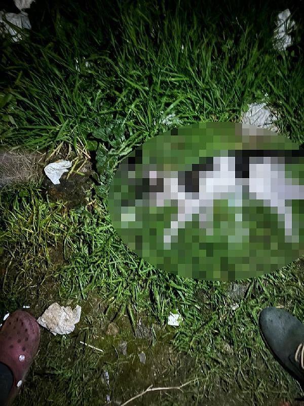 Apartmanın 2'nci katında oturan K.K.'nın bir süredir sokaktan topladığı kedileri dairesinde vahşice öldürdükten sonra bahçeye attığı ortaya çıktı.