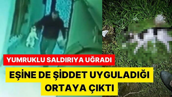 Kameraya Yakalandı: Onlarca Kediyi Öldüren Adamın Yaptıkları Tüyler Ürpertti!