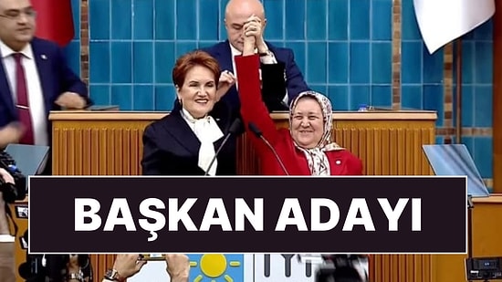 İYİ Parti, Antalya'da Eski MHP'li İsmi Aday Çıkardı: Nesrin Ünal Kimdir?