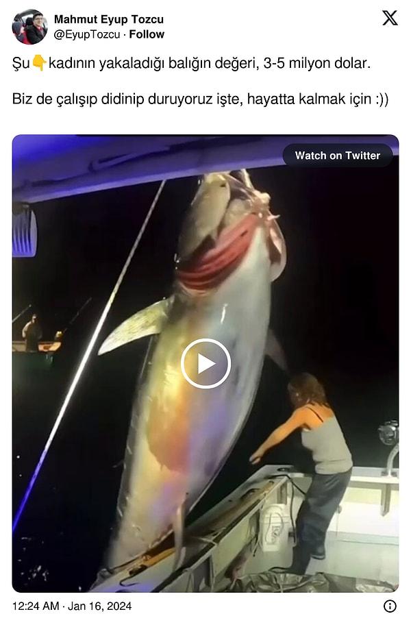 Twitter'da (X) devasa bir balık yakalayan kadının videosunu paylaşan kullanıcı açıklaması ile tartışmaya neden oldu.