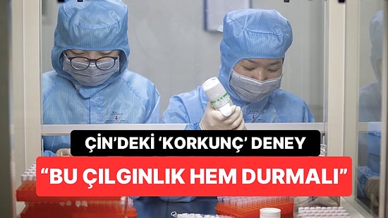 Çin’deki Korkutucu Ölümcül Virüs Deneyi: “Bu Çılgınlık Çok Geç Olmadan Durdurulmalı”