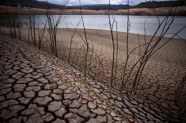 İspanyol hükümeti, tarım ve turizm sektörlerinde su kullanımını kısıtlamak amacıyla çeşitli önlemler almış durumda.
