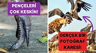 Doğanın Korkutucu Yüzünü İliklerinize Kadar Hissetmenize Sebep Olacak Birbirinden Ürkütücü 15 Yeni Fotoğraf