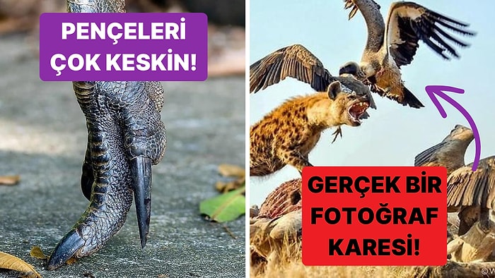 Doğanın Korkutucu Yüzünü İliklerinize Kadar Hissetmenize Sebep Olacak Birbirinden Ürkütücü 15 Yeni Fotoğraf