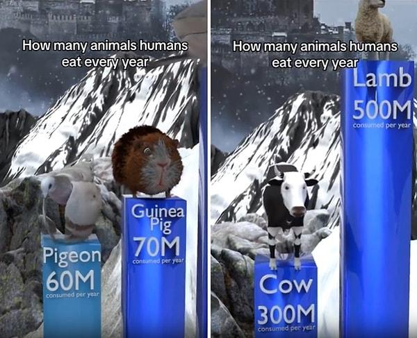 İnsanoğlunun her yıl yediği hayvanların sayılarının gösterildiği animasyon ise sosyal medyada birçok insanın canını sıktı.