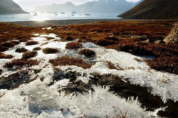 2014 yılında Claverie liderliğindeki bir araştırma ekibi, Sibirya'daki donmuş toprakta binlerce yıl boyunca yaşayan virüsleri incelemişti.