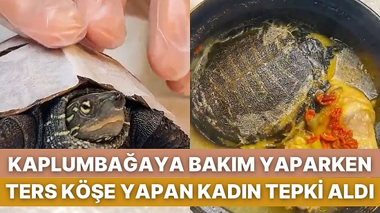 Kaplumbağaya Bakım Yaparken ASMR Videosu Çeken Kadın Beklenmedik Bir Sonla Ağızları Açık Bıraktı