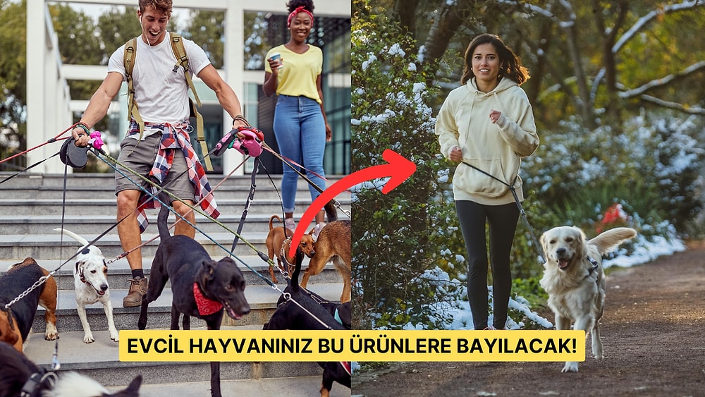 Bu Yıl Yeni Ev Arkadaşınız Patili Bir Dostsa Hemen Satın Almanız Gereken 15 Şey