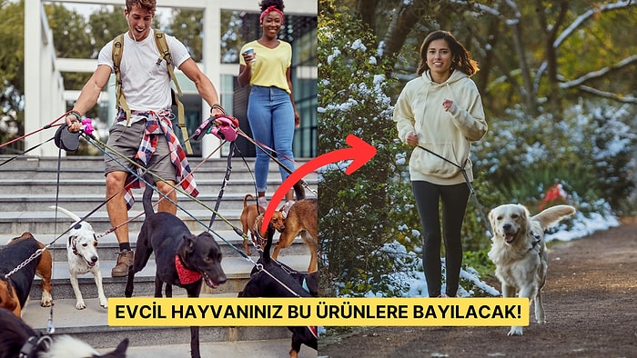 Bu Yıl Yeni Ev Arkadaşınız Patili Bir Dostsa Hemen Satın Almanız Gereken 15 Şey