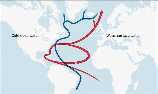 13. "Avrupa ve Amerika'daki sıcak havalardan sorumlu olan Körfez Akıntısı'nın önümüzdeki yüzyılda çökmesi bekleniyor."