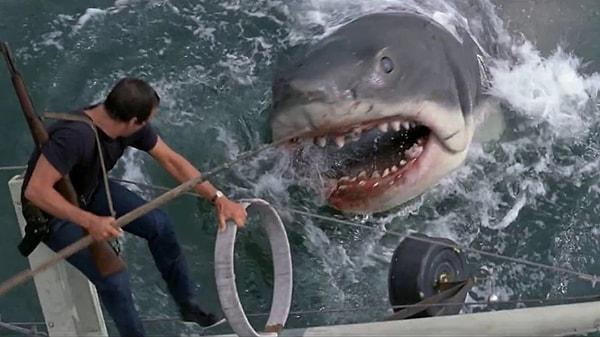17. "The Jaws": Bir serinin ilk filmi şimdiye kadar yapılmış en iyi filmlerden biri olduğunda, onu enkazdan başka bir şeyle takip edemezsiniz ve yine de bu listeye girer.