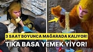 Çin'de Maymun Kral Taklidi Yaparak Ayda 25 Bin Türk Lirası Kazanan Kişi Kafamızı Allak Bullak Etti