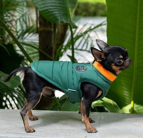12. Bu ceket, köpeğinizin hem şıklığını hem de konforunu garanti ederken, ona gereken korumayı da sağlar.
