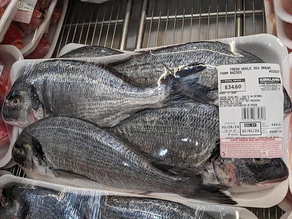 Sırada balık var! Norveç'in somonu olsa beğenirsiniz ama bu bildiğiniz Türk çipurası! Beğenmeme sebebi ise fiyatı!