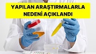 Hep Merak Etmiştik! Tuvalete Çıktığımızda İdrarımız Neden Sarı Renkte Olur?