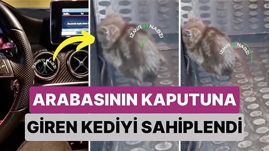 İzmir'de Bir Vatandaş Soğuk Havalar Sebebiyle Arabasının Kaputuna Giren Kediyi Sahiplendi