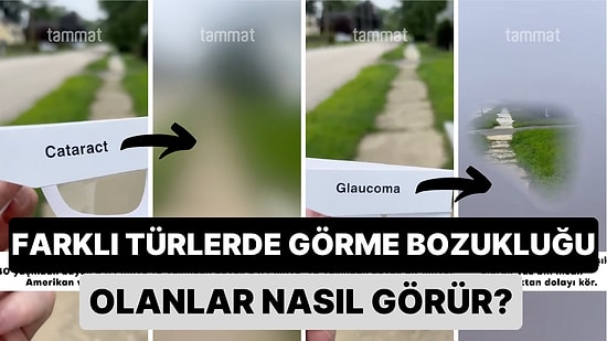 Farklı Türde Görme Bozukluğu Olan İnsanların Dünyayı Nasıl Gördüğü Özel Gözlüklerle Gösterildi