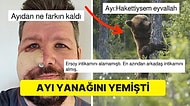 Ayı Tarafından Saldırıya Uğrayan Adamın Yaptıkları İntikam Soğuk Bir Yemektir Dedirtti