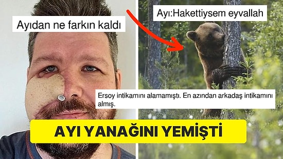 Ayı Tarafından Saldırıya Uğrayan Adamın Yaptıkları İntikam Soğuk Bir Yemektir Dedirtti