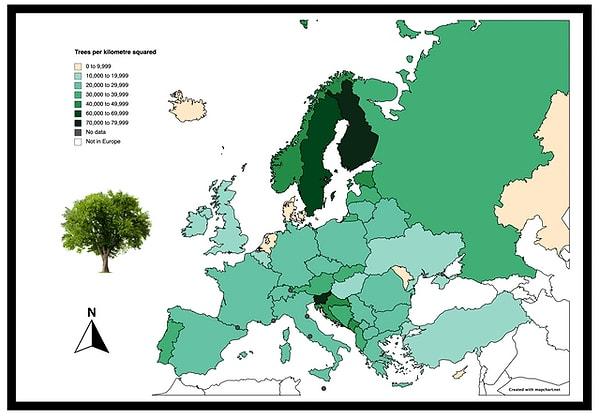 12. Kilometrekare başına düşen ağaçlara göre Avrupa haritası.
