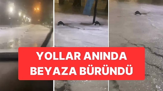 İzmir Çeşme’de Görülmemiş Dolu Yağışı: Yollar Beyaza Büründü