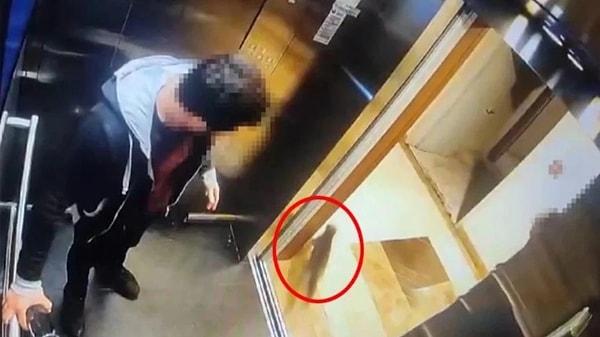 İstanbul Küçükçekmece'de bir sitede asansöre binen İbrahim Keloğlan, asansörde gördüğü 'Eros' isimli kediyi 6 dakika boyunca işkence ederek öldürdü.