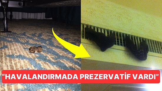 Misafirlerin Çıkış Yaptıkları Odalarda Bıraktıkları Şeyleri Duyunca Bir Daha Otele Gitmek İstemeyeceksiniz!