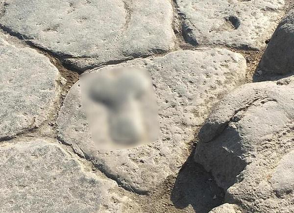 4. Antik Pompeii şehrindeki yollar üzerine kazınmış ve genelevlerin yolunu gösteren erkek cinsel organı şekilleri.