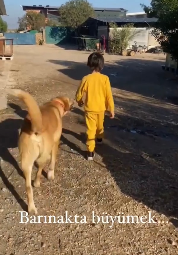 Ailesi sayesinde hayvanlara nasıl davranılacağını çok iyi bir şekilde öğreniyor olan şanslı çocuğun hayvan dostlarıyla geçirdiği kıymetli anlar paha biçilemezdi.