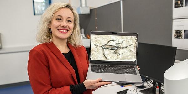 Palaeontology bilimsel dergisinde yayımlanan yeni bir çalışma fosildeki siyah alanların aslında boya olduğunu gösterdi. Cork College Üniversitesi'nden Valentina Rossi liderliğindeki araştırma ekibi modern teknikler kullanarak fosili detaylı bir şekilde inceledi.