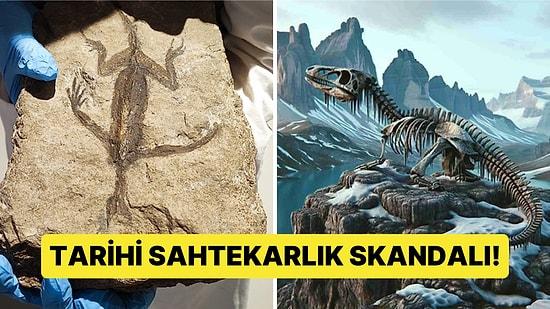 Araştırmacılara Ödül Kazandıran Fosilin Boyama Olduğu Ortaya Çıktı!