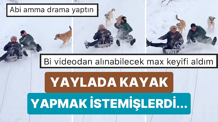 Araçlarına Bağladıkları Lastikle Kayak Yapan Gençlere İki Köpek Eşlik Etmek İsteyince Güldüren Anlar Yaşandı