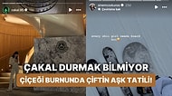 Bir Dur Artık! Danla Bilic'ten Ayrılıp Adı Başka Bir Güzelle Anılan Rapçi Çakal Bambaşka Bir Aşka Yelken Açtı
