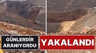 Felaketin Yaşandığı İliç’teki Maden Ocağını İşleten Şirketin ‘Türkiye Müdürü’ Gözaltına Alındı
