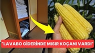 Misafirlerin Çıkış Yaptıkları Odalarda Bıraktıkları Şeyleri Duyunca Bir Daha Otele Gitmek İstemeyeceksiniz!