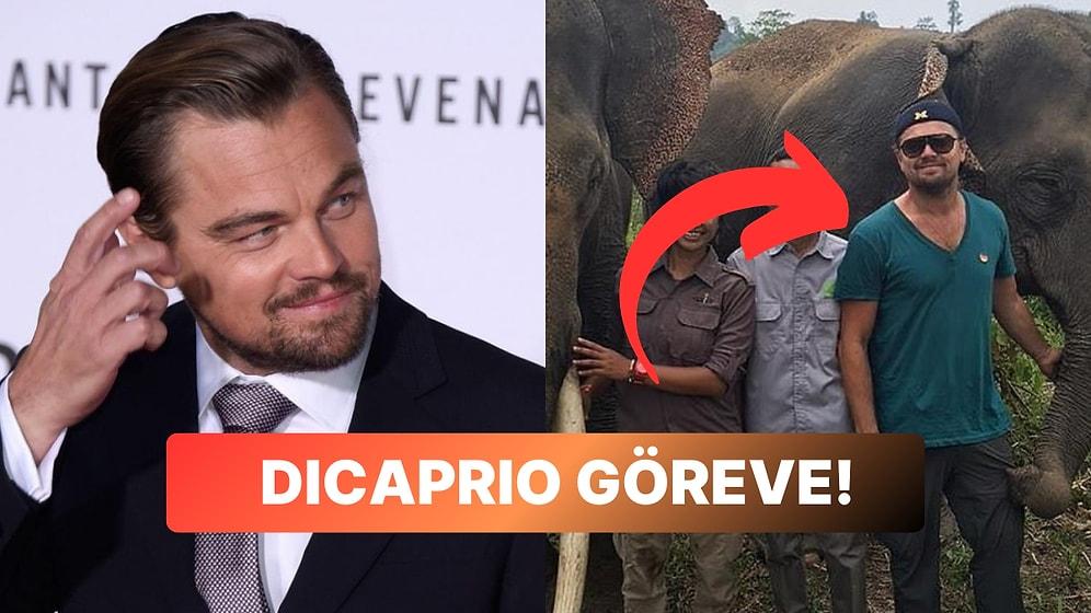 İyilik Meleği Oldu: Afrika'dan Rusya'ya Dünyaya Yetişen Leonardo DiCaprio Bağış Dağıttı!