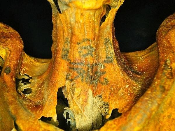 1. Bugüne kadar bilinen en eski dövmeli insan derisi, Alpler'de bulunan ve tahmini olarak MÖ 3370 ile 3100 yılları arasında yaşamış olan Ötzi adlı buz adamına aittir.