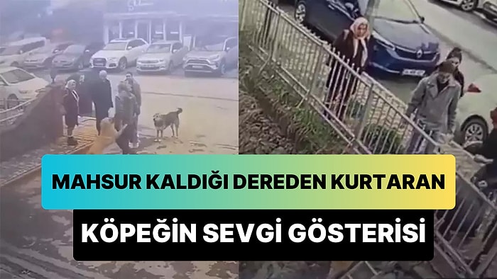 Mahsur Kaldığı Dereden Kendisini Kurtaran İnsana Sevgi Gösteren Köpeği İzlerken Yumuşacık Olacaksınız