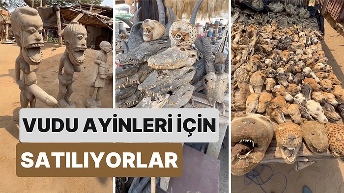 Vudu Dinine Ait Ritüellerde Kullanılacak Hayvan Ölülerinin Satıldığı Marketin İlginç Görüntüleri