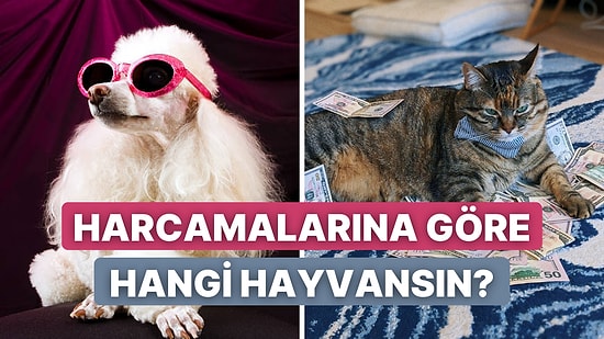 Finansal Açıdan Sen Hangi Hayvana Benziyorsun?