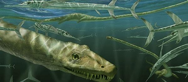 Dinocephalosaurus'un boynunda ve gövdesinde çok fazla omur kemiklerine sahip olması onu benzersiz yapıyor. Hayvan yılan benzeri bir görünüme sahip.