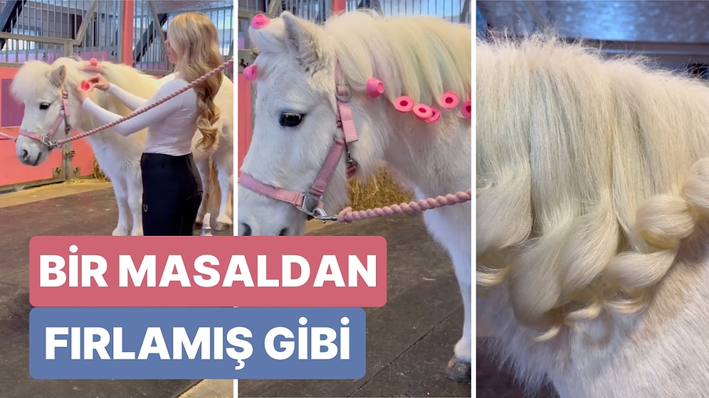 Masaldan Fırlamış Gibi! Bir Ata Yapılan Saç Bakımını İzlerken Pamuk Gibi Olacaksınız