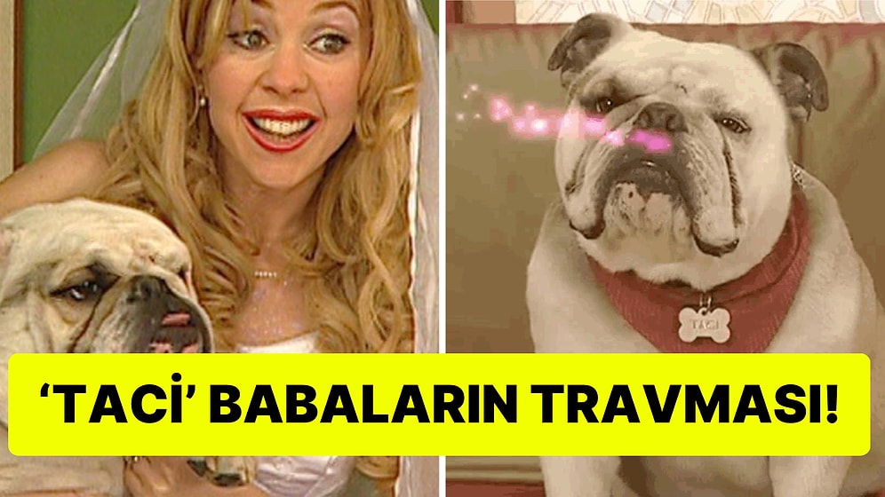 Sihirli Annem'de Taci Köpeğe Dönüştüğü İçin Babasından Sihirli Annem Yasağı Alan Kullanıcı