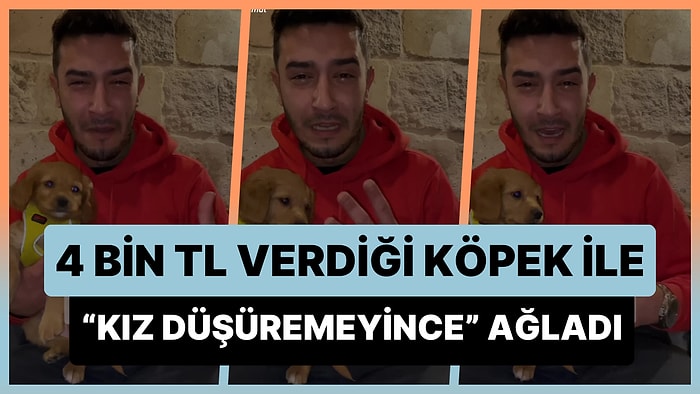 4 Bin TL Verdiği Köpek ile Hiç 'Kız Düşüremediği' İçin Ağlayarak Parasını Geri İsteyen Genç