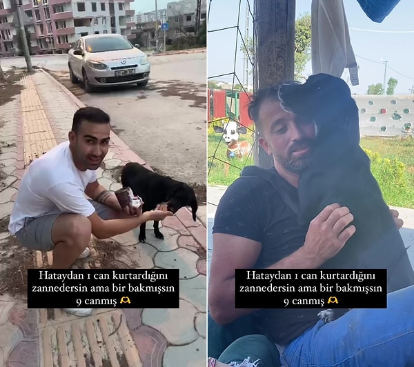 Hatay'a mama götürdükleri sırada fark ettikleri köpeği kurtararak İstanbul'a getiren güzel insanlar, köpeğin hamile olduğunu fark ettiler.