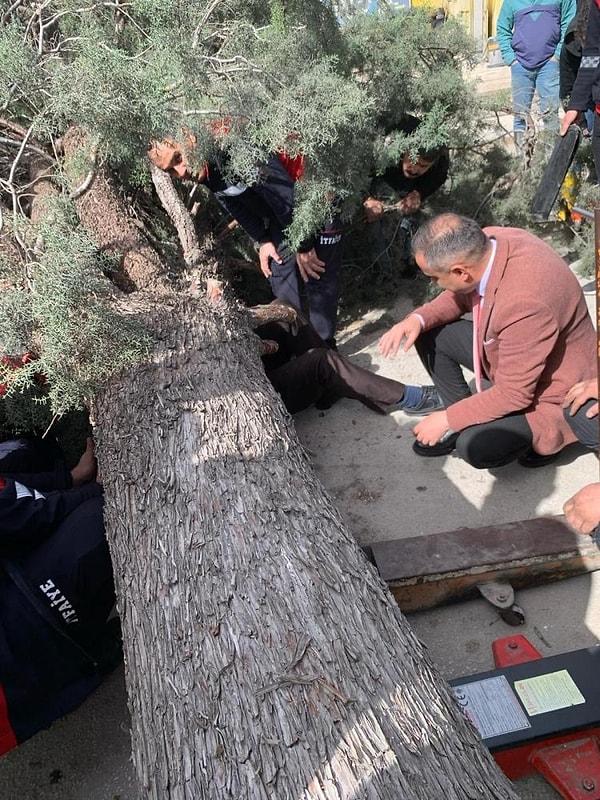Ağaç altından çıkarılan Adnan ve Taha Ersan sağlık ekiplerinin yaptığı ilk müdahalenin ardından Burdur Devlet Hastanesine kaldırıldı.