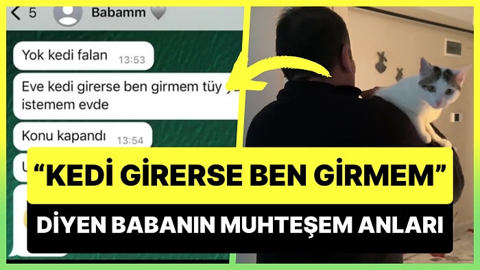 'Eve Kedi Girerse Ben Girmem' Diyen Babanın Çocuğunu Sever Gibi Kedi Sevdiği Muhteşem Anlar