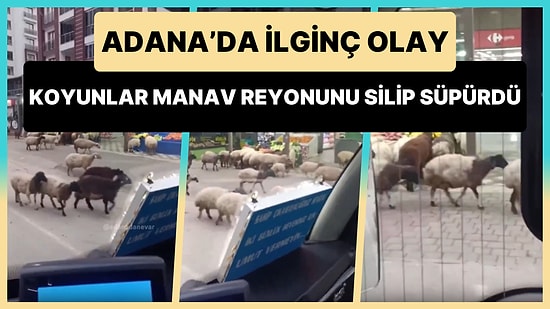 Adana'da Caddeye Giren Koyun Sürücü Zincir Marketin Manav Reyonundaki Meyve Sebzeleri Yedi